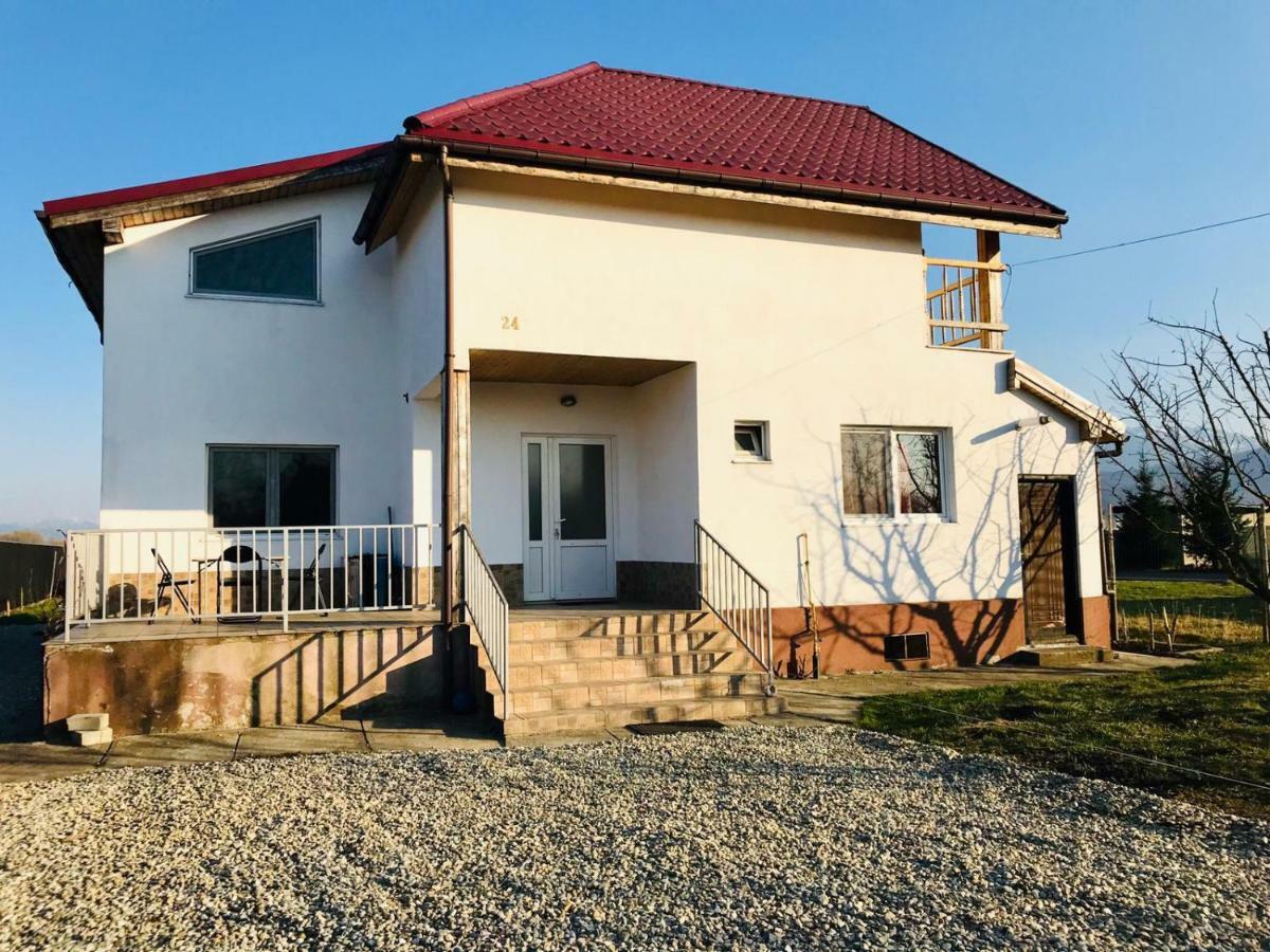 Vila Ekooos Braşov Exterior foto
